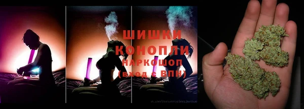 PSILOCYBIN Алзамай