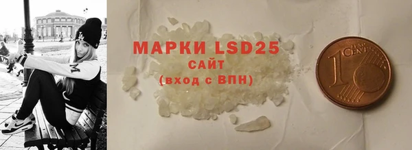 PSILOCYBIN Алзамай