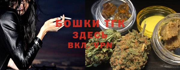 PSILOCYBIN Алзамай