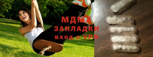 PSILOCYBIN Алзамай
