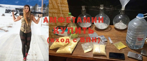 PSILOCYBIN Алзамай