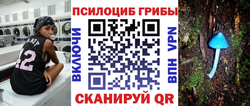 Галлюциногенные грибы Psilocybine cubensis OMG онион Неман