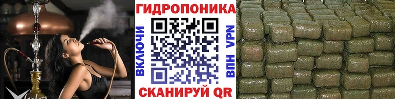 наркотики  Неман  Каннабис план 
